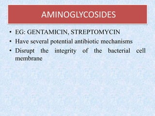 AMINOGLYCOSIDES
• EG: GENTAMICIN, STREPTOMYCIN
• Have several potential antibiotic mechanisms
• Disrupt the integrity of the bacterial cell
membrane
 