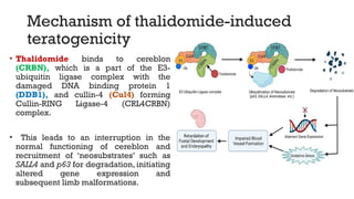Teratogens and Their Impact: BPA and Thalidomide Mechanisms and Effects ...
