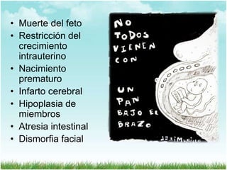 • Muerte del feto
• Restricción del
crecimiento
intrauterino
• Nacimiento
prematuro
• Infarto cerebral
• Hipoplasia de
miembros
• Atresia intestinal
• Dismorfia facial

 