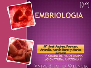 Embriologia Mª José Andreu, Francesc Arlandis, Adrián Barat y Marisa Barreda 1º Grado de fisioterapia Asignatura: anatomia II 