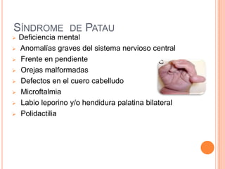 SÍNDROME DE PATAU
   Deficiencia mental
   Anomalías graves del sistema nervioso central
   Frente en pendiente
   Orejas malformadas
   Defectos en el cuero cabelludo
   Microftalmia
   Labio leporino y/o hendidura palatina bilateral
   Polidactilia
 