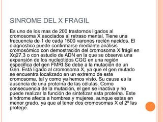 SINROME DEL X FRAGIL
Es uno de los mas de 200 trastornos ligados al
cromosoma X asociados al retraso mental. Tiene una
frecuencia de 1 de cada 1500 varones recién nacidos. El
diagnostico puede confirmarse mediante análisis
cromosómico con demostración del cromosoma X frágil en
Xq27,3 o con estudio de ADN en la que se observa una
expansión de los nucleótidos CGG en una región
especifica del gen FMRI.Se debe a la mutación de un
Gen. Está ligado al cromosoma X, ya que el gen mutado
se encuentra localizado en un extremo de este
cromosoma, tal y como ya hemos visto. Su causa es la
ausencia de una proteína de las células. Como
consecuencia de la mutación, el gen se inactiva y no
puede realizar la función de sintetizar esta proteína. Este
síndrome afecta a hombres y mujeres, aunque estas en
menor grado, ya que al tener dos cromosomas X el 2º las
protege.
 