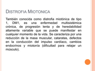 DISTROFIA MIOTONICA
También conocida como distrofia miotónica de tipo
1, DM1, es una enfermedad multisistémica
crónica, de progresión lenta y de heredabilidad
altamente variable que se puede manifestar en
cualquier momento de la vida. Se caracteriza por una
reducción de la masa muscular, cataratas, defectos
en la conducción del impulso cardíaco, cambios
endocrinos y miotonía (dificultad para relajar un
músculo).
 