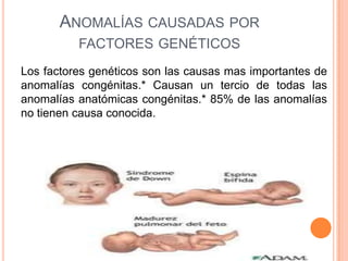 ANOMALÍAS CAUSADAS POR
          FACTORES GENÉTICOS
Los factores genéticos son las causas mas importantes de
anomalías congénitas.* Causan un tercio de todas las
anomalías anatómicas congénitas.* 85% de las anomalías
no tienen causa conocida.
 