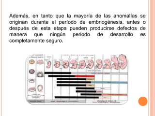 Además, en tanto que la mayoría de las anomalías se
originan durante el período de embriogénesis, antes o
después de esta etapa pueden producirse defectos de
manera que ningún periodo de desarrollo es
completamente seguro.
 