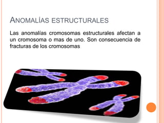 ANOMALÍAS ESTRUCTURALES
Las anomalías cromosomas estructurales afectan a
un cromosoma o mas de uno. Son consecuencia de
fracturas de los cromosomas
 