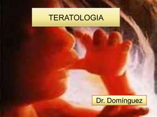 TERATOLOGIA




         Dr. Domínguez
 