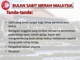 Tanda-tanda: Sakit yang amat sangat bagi tahap pertama atau kedua. Bahagian anggota yang terlibat berwarna kemerahan pada tahap awal, merah gelap, lepuh dan mengelembung pada tahap kedua, kehitaman seperti arang pada tahap ketiga. Pengaliran keluar plasma. Renjatan 