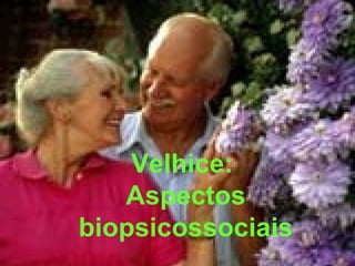 Velhice:
Aspectos
biopsicossociais

 