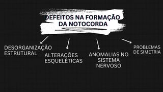 DEFEITOS NA FORMAÇÃO
DEFEITOS NA FORMAÇÃO
DEFEITOS NA FORMAÇÃO
DA NOTOCORDA
DA NOTOCORDA
DA NOTOCORDA
PROBLEMAS
DE SIMETRIA
DESORGANIZAÇÃO
ESTRUTURAL ANOMALIAS NO
SISTEMA
NERVOSO
ALTERAÇÕES
ESQUELÉTICAS
 