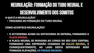 Neurulação: formação do tubo neural E
Desenvolvimento dos somitos
Neurulação: formação do tubo neural E
Desenvolvimento dos somitos
O QUE É A NEURULAÇÃO?
PROCESSO DE FORMAÇÃO DO TUNO NEURAL
COMO ACONTECE NEURULAÇÃO?
O ECTODERMA ACIMA DA NOTOCORDA SE ESPESSA, FORMANDO A
PLACA NEURAL
A PLACA NEURAL SE INVAGINA AO LONGO DO SEU EIXO CENTRAL
FORMANDO UMA DEPRESSÃO CHAMADA DE SULCO NEURAL, E
CONSEQUENTEMENTE, AO LADO DESTA DEPRESSÃO SERÁ
FORMADA ELEVAÇÕES, AS PREGAS NEURAIS.
O QUE É A NEURULAÇÃO?
PROCESSO DE FORMAÇÃO DO TUNO NEURAL
COMO ACONTECE NEURULAÇÃO?
O ECTODERMA ACIMA DA NOTOCORDA SE ESPESSA, FORMANDO A
PLACA NEURAL
A PLACA NEURAL SE INVAGINA AO LONGO DO SEU EIXO CENTRAL
FORMANDO UMA DEPRESSÃO CHAMADA DE SULCO NEURAL, E
CONSEQUENTEMENTE, AO LADO DESTA DEPRESSÃO SERÁ
FORMADA ELEVAÇÕES, AS PREGAS NEURAIS.
 