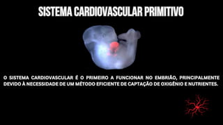 sistema cardiovascular primitivo
sistema cardiovascular primitivo
O SISTEMA CARDIOVASCULAR É O PRIMEIRO A FUNCIONAR NO EMBRIÃO, PRINCIPALMENTE
DEVIDO À NECESSIDADE DE UM MÉTODO EFICIENTE DE CAPTAÇÃO DE OXIGÊNIO E NUTRIENTES.
O SISTEMA CARDIOVASCULAR É O PRIMEIRO A FUNCIONAR NO EMBRIÃO, PRINCIPALMENTE
DEVIDO À NECESSIDADE DE UM MÉTODO EFICIENTE DE CAPTAÇÃO DE OXIGÊNIO E NUTRIENTES.
 