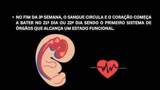 NO FIM DA 3ª SEMANA, O SANGUE CIRCULA E O CORAÇÃO COMEÇA
A BATER NO 21º DIA OU 22º DIA SENDO O PRIMEIRO SISTEMA DE
ÓRGÃOS QUE ALCANÇA UM ESTADO FUNCIONAL.
NO FIM DA 3ª SEMANA, O SANGUE CIRCULA E O CORAÇÃO COMEÇA
A BATER NO 21º DIA OU 22º DIA SENDO O PRIMEIRO SISTEMA DE
ÓRGÃOS QUE ALCANÇA UM ESTADO FUNCIONAL.
 