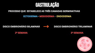 PROCESSO QUE ESTABELECE AS TRÊS CAMADAS GERMINATIVAS
PROCESSO QUE ESTABELECE AS TRÊS CAMADAS GERMINATIVAS
GASTRULAÇÃO
GASTRULAÇÃO
ECTODERMA - MESODERMA - ENDODERMA
ECTODERMA - MESODERMA - ENDODERMA
DISCO EMBRIONÁRIO BILAMINAR
DISCO EMBRIONÁRIO BILAMINAR DISCO EMBRIONÁRIO TRILAMINAR
DISCO EMBRIONÁRIO TRILAMINAR
2° SEMANA
2° SEMANA 3° SEMANA
3° SEMANA
 