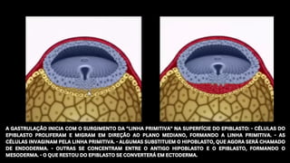 A GASTRULAÇÃO INICIA COM O SURGIMENTO DA "LINHA PRIMITIVA" NA SUPERFÍCIE DO EPIBLASTO: - CÉLULAS DO
EPIBLASTO PROLIFERAM E MIGRAM EM DIREÇÃO AO PLANO MEDIANO, FORMANDO A LINHA PRIMITIVA. - AS
CÉLULAS INVAGINAM PELA LINHA PRIMITIVA. - ALGUMAS SUBSTITUEM O HIPOBLASTO, QUE AGORA SERÁ CHAMADO
DE ENDODERMA. - OUTRAS SE CONCENTRAM ENTRE O ANTIGO HIPOBLASTO E O EPIBLASTO, FORMANDO O
MESODERMA. - O QUE RESTOU DO EPIBLASTO SE CONVERTERÁ EM ECTODERMA.
A GASTRULAÇÃO INICIA COM O SURGIMENTO DA "LINHA PRIMITIVA" NA SUPERFÍCIE DO EPIBLASTO: - CÉLULAS DO
EPIBLASTO PROLIFERAM E MIGRAM EM DIREÇÃO AO PLANO MEDIANO, FORMANDO A LINHA PRIMITIVA. - AS
CÉLULAS INVAGINAM PELA LINHA PRIMITIVA. - ALGUMAS SUBSTITUEM O HIPOBLASTO, QUE AGORA SERÁ CHAMADO
DE ENDODERMA. - OUTRAS SE CONCENTRAM ENTRE O ANTIGO HIPOBLASTO E O EPIBLASTO, FORMANDO O
MESODERMA. - O QUE RESTOU DO EPIBLASTO SE CONVERTERÁ EM ECTODERMA.
 