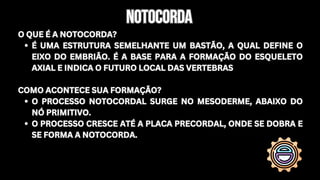 notocordA
notocordA
O QUE É A NOTOCORDA?
É UMA ESTRUTURA SEMELHANTE UM BASTÃO, A QUAL DEFINE O
EIXO DO EMBRIÃO. É A BASE PARA A FORMAÇÃO DO ESQUELETO
AXIAL E INDICA O FUTURO LOCAL DAS VERTEBRAS
COMO ACONTECE SUA FORMAÇÃO?
O PROCESSO NOTOCORDAL SURGE NO MESODERME, ABAIXO DO
NÓ PRIMITIVO.
O PROCESSO CRESCE ATÉ A PLACA PRECORDAL, ONDE SE DOBRA E
SE FORMA A NOTOCORDA.
O QUE É A NOTOCORDA?
É UMA ESTRUTURA SEMELHANTE UM BASTÃO, A QUAL DEFINE O
EIXO DO EMBRIÃO. É A BASE PARA A FORMAÇÃO DO ESQUELETO
AXIAL E INDICA O FUTURO LOCAL DAS VERTEBRAS
COMO ACONTECE SUA FORMAÇÃO?
O PROCESSO NOTOCORDAL SURGE NO MESODERME, ABAIXO DO
NÓ PRIMITIVO.
O PROCESSO CRESCE ATÉ A PLACA PRECORDAL, ONDE SE DOBRA E
SE FORMA A NOTOCORDA.
 