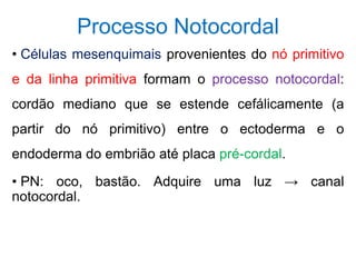 Processo Notocordal
• Células mesenquimais provenientes do nó primitivo
e da linha primitiva formam o processo notocordal:
cordão mediano que se estende cefálicamente (a
partir do nó primitivo) entre o ectoderma e o
endoderma do embrião até placa pré-cordal.
• PN: oco, bastão. Adquire uma luz → canal
notocordal.
 