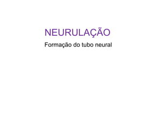 NEURULAÇÃO
Formação do tubo neural
 