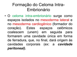 Formação do Celoma Intra-
Embrionário
• O celoma intra-embrionário surge como
espaços isolados no mesoderma lateral e
no mesoderma cardiogênico (formador do
coração). Estes espaços celômicos
coalescem (unem) em seguida para
formarem uma cavidade única em forma
de ferradura, que, no final, dará origem às
cavidades corporais (ex: a cavidade
peritoneal).
 