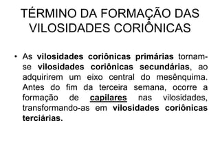 TÉRMINO DA FORMAÇÃO DAS
VILOSIDADES CORIÔNICAS
• As vilosidades coriônicas primárias tornam-
se vilosidades coriônicas secundárias, ao
adquirirem um eixo central do mesênquima.
Antes do fim da terceira semana, ocorre a
formação de capilares nas vilosidades,
transformando-as em vilosidades coriônicas
terciárias.
 