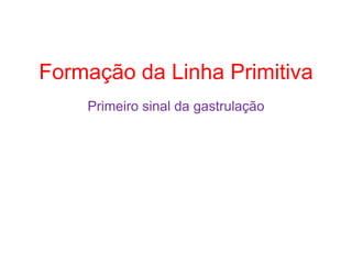 Formação da Linha Primitiva
Primeiro sinal da gastrulação
 