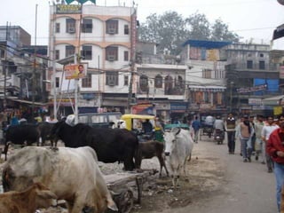 África SubsarianaRegião onde o subdesenvolvimento sempre apresentou aspectos mais chocantes.Causas: desertificação de extensas áreas do continente, rivalidades étnicas, corrupção dos dirigentes e instabilidade política.