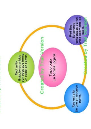 mapas Edraw Mind Map | PDF