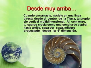 Desde muy arriba… Cuando encarnaste, naciste en una línea directa desde el  centro  de  la Tierra, tu propio eje vertical multidimensional.  Al  comienzo,  tu cuerpo crecía como una concha de espiral hacia arriba, capa por  capa, milagro  orquestado  desde  la  6° dimensión. 