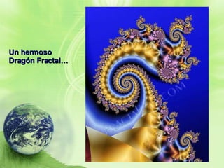 Un hermoso Dragón Fractal… 