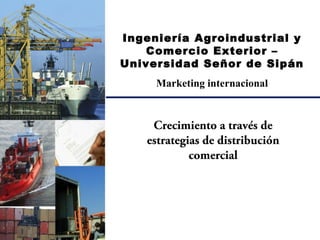 Ingeniería Agroindustrial y
Comercio Exterior –
Universidad Señor de Sipán
Marketing internacional
Crecimiento a través de
estrategias de distribución
comercial
 
