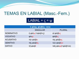 TEMAS EN LABIAL (Masc.-Fem.) 
LABIAL + ς = ψ 
ἡ φλέψ, φλεβός: vena 
SINGULAR PLURAL 
NOMINATIVO ἡ φλέψ (<φλεβ+ς) αἱ φλέβες 
VOCATIVO φλεψ φλέβες 
ACUSATIVO τὴν φλέβα τὰς φλέβας 
GENITIVO τῆς φλεβός τῶν φλεβῶν 
DATIVO τῇ φλεβί ταῖς φλεψί(<φλέβ+σι) 
 