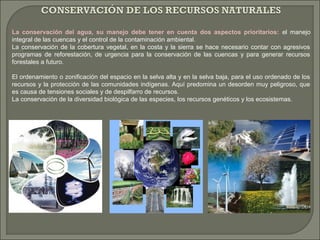 La conservación del agua, su manejo debe tener en cuenta dos aspectos prioritarios: el manejo
integral de las cuencas y el control de la contaminación ambiental.
La conservación de la cobertura vegetal, en la costa y la sierra se hace necesario contar con agresivos
programas de reforestación, de urgencia para la conservación de las cuencas y para generar recursos
forestales a futuro.
El ordenamiento o zonificación del espacio en la selva alta y en la selva baja, para el uso ordenado de los
recursos y la protección de las comunidades indígenas. Aquí predomina un desorden muy peligroso, que
es causa de tensiones sociales y de despilfarro de recursos.
La conservación de la diversidad biológica de las especies, los recursos genéticos y los ecosistemas.
 