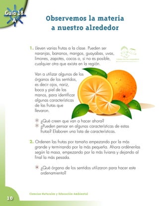 Guía 18
   A                 Observemos la materia
                      a nuestro alrededor

          1. Lleven varias frutas a la clase. Pueden ser
             naranjas, bananos, mangos, guayabas, uvas,
             limones, zapotes, cocos o, si no es posible,   Trabaja con tus compañeros

             cualquier otra que exista en la región.
          	
          	 Van a utilizar algunos de los
             órganos de los sentidos,
             es decir ojos, nariz,
             boca y piel de las
             manos, para identificar
             algunas características
             de las frutas que
             llevaron.

               	 ¿Qué creen que van a hacer ahora?
               	 ¿Pueden pensar en algunas características de estas
             	 frutas? Elaboren una lista de características.

          2. Ordenen las frutas por tamaño empezando por la más
             grande y terminando por la más pequeña. Ahora ordénenlas
             según la masa, empezando por la más liviana y dejando al
             final la más pesada.
          	
                	 ¿Qué órgano de los sentidos utilizaron para hacer este 	
                  ordenamiento?



          Ciencias Naturales y Educación Ambiental
10
 
