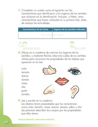 7. Completen un cuadro como el siguiente con las
        características que identificaron y los órganos de los sentidos
        que utilizaron en la identificación. Incluyan, si faltan, otras
        características que hayan colocado en su primera lista, antes
        de realizar las actividades.

     	    Características de las frutas	               Órganos de los sentidos utilizados

                                               No escribas aquí


          Presenta tu trabajo a la profesora                                 Trabaja en tu cuaderno


     8. Dibuja en tu cuaderno de ciencias los órganos de los
        sentidos, y mediante flechas relaciona cuáles de tus sentidos
        utilizas para reconocer las propiedades de los objetos que
        aparecen en la lista.
     	
     	 color
     	 tamaño
     	 textura
     	 dureza
     	 masa
     	 olor
     	 gusto
     	 sonidos

     9. Lee y escribe en tu cuaderno:
     	 Los objetos tienen propiedades que los caracterizan,
     	 como color, tamaño, masa, textura, dureza, sabor y olor.
     	 Las personas describen los cuerpos por las propiedades
        que ellos tienen.

     Ciencias Naturales y Educación Ambiental
12
 