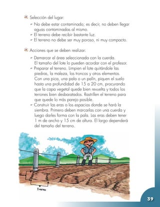 Selección del lugar:
u No debe estar contaminado; es decir, no deben llegar
	 aguas contaminadas al mismo.
u El terreno debe recibir bastante luz.
u El terreno no debe ser muy poroso, ni muy compacto.

	
Acciones que se deben realizar:
u Demarcar el área seleccionada con la cuerda.
    El tamaño del lote lo pueden acordar con el profesor.
u   Preparar el terreno. Limpien el lote quitándole las
    piedras, la maleza, los troncos y otros elementos.
    Con una pica, una pala o un palín, piquen el suelo
    hasta una profundidad de 15 a 20 cm, procurando
    que la capa vegetal quede bien revuelta y todos los
    terrones bien desbaratados. Rastrillen el terreno para
    que quede lo más parejo posible.
u   Construir las eras o los espacios donde se hará la
    siembra. Primero deben marcarlas con una cuerda y
    luego darles forma con la pala. Las eras deben tener
    1 m de ancho y 15 cm de altura. El largo dependerá
    del tamaño del terreno.




                                            Unidad 7 - Guía 22 D
                                                            20 A
                                                                   39
 