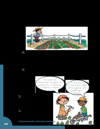 Si el terreno es pendiente, no es necesario hacer eras.
              Solamente deben picar la tierra y dejarla lista para
              sembrar. En este tipo de terreno es necesario sembrar
              siempre en hileras horizontales para evitar que el agua
              de las lluvias arrastre la capa vegetal.




            	
            Sembrar las semillas. Escojan semillas de diferentes
            plantas que les sirvan para alimentarse, para condimentar
            los alimentos o para hacer bebidas aromáticas. Coloquen
            un papelito para recordar las semillas que plantaron en
            cada lugar y riéguenlas todos los días hasta que germinen.
           	 Mantener la huerta. Revisen la huerta permanentemente
             para limpiar las malezas y regar las plantas.

                               Al emplear las
                         herramientas, manéjalas con      Si el terreno no
                         cuidado para no lastimarte    es muy bueno, utiliza
                            ni lastimar a alguien.     abono orgánico como
                                                            gallinaza o
                                                              boñiga.
     2.	Discutan y respondan
        en el cuaderno:¿Para
        qué les sirve la huerta
        escolar?
     3.	Presenten el trabajo
        realizado a la profesora.

     Ciencias Naturales y Educación Ambiental
40
 