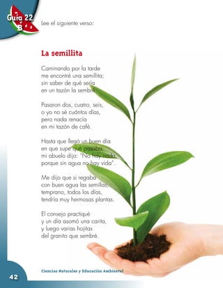 Guía 22   Lee el siguiente verso:
   B

          La semillita
          Caminando por la tarde
          me encontré una semillita;
          sin saber de qué sería
          en un tazón la sembré.

          Pasaron dos, cuatro, seis,
          o yo no sé cuántos días,
          pero nada renacía
          en mi tazón de café.

          Hasta que llegó un buen día
          en que supe qué pasaba;
          mi abuelo dijo: “No hay nada,
          porque sin agua no hay vida”.

          Me dijo que si regaba
          con buen agua las semillas,
          temprano, todos los días,
          tendría muy hermosas plantas.

          El consejo practiqué
          y un día asomó una carita,
          y luego varias hojitas
          del granito que sembré.




          Ciencias Naturales y Educación Ambiental
42
 