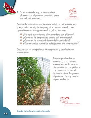 Guía 22
  D       1. Si en tu vereda hay un invernadero,
             planeen con el profesor una visita para                     Trabaja con tus
             ver su funcionamiento.                                  compañeros y el profesor




          Durante la visita observen las características del invernadero
          y respondan las siguientes preguntas pensando en lo que
          aprendieron en esta guía y en las guías anteriores:
                 	
                 ¿Por qué está cubierto el invernadero con plástico?
                 	
                 ¿Cómo es la temperatura dentro del invernadero?
                 	
                 ¿Cómo es la humedad dentro del invernadero?
                 ¿Qué cuidados tienen los trabajadores del invernadero?

          Discute con tus compañeros las respuestas y escríbelas en
          tu cuaderno.

                                                     Si no es posible hacer
                                                     esta visita, o no hay un
                                                     invernadero en la vereda,
                                                     planea con tus compañeros
                                                     para construir un modelo
                                                     de invernadero. Pregunten
                                                     al profesor cómo y dónde
                                                     lo pueden hacer.




                                                                Presenta tu trabajo a la profesora




          Ciencias Naturales y Educación Ambiental
44
 