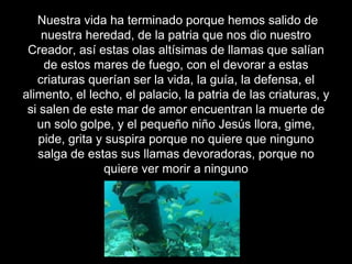 Nuestra vida ha terminado porque hemos salido de
nuestra heredad, de la patria que nos dio nuestro
Creador, así estas olas altísimas de llamas que salían
de estos mares de fuego, con el devorar a estas
criaturas querían ser la vida, la guía, la defensa, el
alimento, el lecho, el palacio, la patria de las criaturas, y
si salen de este mar de amor encuentran la muerte de
un solo golpe, y el pequeño niño Jesús llora, gime,
pide, grita y suspira porque no quiere que ninguno
salga de estas sus llamas devoradoras, porque no
quiere ver morir a ninguno
 