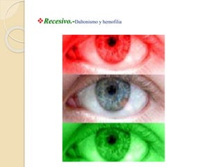 Recesivo.-Daltonismo y hemofilia
 