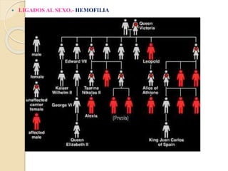  LIGADOS AL SEXO.- HEMOFILIA
 