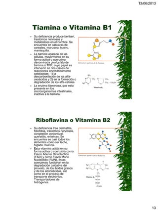 13/06/2013
13
Tiamina o Vitamina B1
 Su deficiencia produce beriberi,
trastornos nerviosos y
metabólicos en el hombre. Se
encuentra en cáscaras de
cereales, manzana, huevo,
mantequilla.
 La tiamina aparece en las
células, mayormente en su
forma activa o coenzima
denominada pirofosfato de
tiamina o TPP, cuyo papel es
intervenir en dos clases de
reacciones enzimáticamente
catalizadas: 1) la
descarboxilación de los alfa-
oxoácidos y 2) en la formación o
degradación de los alfa-cetoles.
 La enzima tiaminasa, que esta
presente en los
microorganismos intestinales,
inactiva a la tiamina.
Riboflavina o Vitamina B2
 Su deficiencia trae dermatitis,
fotofobia, trastornos nerviosos,
congestión conjuntival,
queratitis, eritemas. Se
encuentra en casi todos los
alimentos como ser leche,
hígado, huevos.
 Esta vitamina actúa en su
forma activa o coenzima como
Flavín Adenín Dinucleótido
(FAD) y como Flavín Mono
Nucleótido (FMN), éstas
coenzimas funcionan en la
degradación oxidativa del
piruvato, de los ácidos grasos
y de los aminoácidos, así
como en el proceso de
transporte electrónico.
Transportadores de
hidrógenos.
 