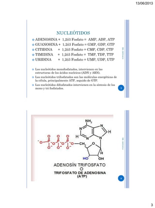 13/06/2013
3
NUCLEÓTIDOS
 ADENOSINA + 1,2ó3 Fosfato = AMP, ADP, ATP
 GUANOSINA + 1,2ó3 Fosfato = GMP, GDP, GTP
 CITIDINA + 1,2ó3 Fosfato = CMP, CDP, CTP
 TIMIDINA + 1,2ó3 Fosfato = TMP, TDP, TTP
 URIDINA + 1,2ó3 Fosfato = UMP, UDP, UTP
 Los nucleótidos monofosfatados, intervienen en las
estructuras de los ácidos nucleicos (ADN y ARN).
 Los nucleótidos trifosfatados son las moléculas energéticas de
la célula, principalmente ATP, seguido de GTP.
 Los nucleótidos difosfatados intervienen en la síntesis de los
mono y tri fosfatados. 5
DR.OSINAGA
6
DR.OSINAGA
 