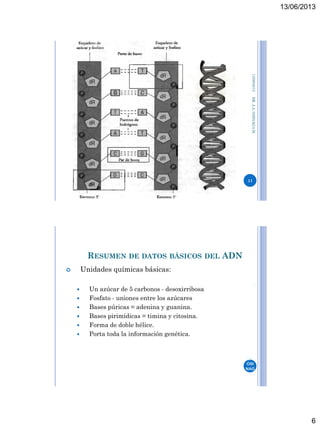 13/06/2013
6
13/06/2013DR.J.A.OSINAGAH.
11
DR.
OSI
NAG
A
12
RESUMEN DE DATOS BÁSICOS DEL ADN
 Unidades químicas básicas:
 Un azúcar de 5 carbonos - desoxirribosa
 Fosfato - uniones entre los azúcares
 Bases púricas = adenina y guanina.
 Bases pirimídicas = timina y citosina.
 Forma de doble hélice.
 Porta toda la información genética.
 