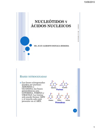 13/06/2013
1
NUCLEÓTIDOS Y
ÁCIDOS NUCLEICOS
DR. JUAN ALBERTO OSINAGA HEREDIA
13/06/2013DR.J.A.OSINAGAH.
1
BASES NITROGENADAS
 Las bases nitrogenadas
pueden ser purinas:
ADENINA y
GUANINA, las bases
pirimidínicas son:
CITOSINA, TIMINA y
URACILO. La timina
solo puede formar ADN
y el uracilo solo está
presente en el ARN.
DR.OSINAGA
2
 