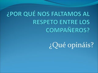 ¿Qué opináis? 
 