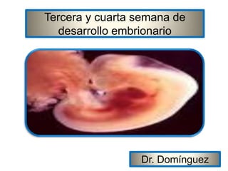 Tercera y cuarta semana de
  desarrollo embrionario




                 Dr. Domínguez
 