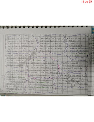 18 de 85
 