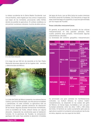 Página 98
La ladera occidental de la Sierra Madre Occidental, que
mira al Pacífico, está irrigada por ríos cortos e impetuosos
que bajan de las montañas, provocando valles fértiles
donde era posible la agricultura. En ambas cordilleras se
encuentran numerosos volcanes, muchos de ellos activos.
A lo largo de sus 540 km de recorrido el río San Pedro
Mezquital atraviesa algunos de los lugares más remotos
y desconocidos de México.
La costa del Golfo de México presenta una extensa llanura
costera, que formó tierras bajas, con frecuencia inundables
y pantanosas. En este contexto, la agricultura sólo es
posible si se realizan grandes esfuerzos de disecación
de las tierras. Algunas escasas formaciones montañosas,
como la Cordillera de Tuxtla, ofrecen tierras con alguna
elevación, mejorando las condiciones para la habitación
humana. En la península de Yucatán, la composición
geológica del suelo hace posible la absorción inmediata
del agua de lluvia, que se filtra hacia los suelos interiores
formando cavernas inundadas. Con frecuencia, el agua de
esas cavernas llega a la superficie, la que era aprovechada
por los mayas del Yucatán.
Áreas culturales mesoamericanas.
En general, se puede dividir la sucesión de las culturas
mesoamericanas en tres grandes periodos. Este
cuadro presenta esos períodos, mencionando algunas
características culturales.
La diversidad del contexto geográfico mesoamericano
Cenote escondido
El río San Pedro Mezquital
Período Fechas Culturas Características
PRECLÁSICO 1.400 a.C. a
200 d.C.
Olmecas Cabezas
Jade
Culto al jaguar
CLÁSICO
200 d.C. a 800
d.C.
Mayas (Clásico)
Teotihuacán
Monte Albán
(Zapotecas)
- Estelas
- Pirámides y
templos
- Calendarios
- Avenida de los
Muertos
- Templo del Sol
- Templo de la
Luna
Centroceremonial
Juego de pelota
Cerámica
POSTCLÁSICO 800 d.C. a
1.500 d.C
Mayas
(post clásico)
Aztecas
Teocracia
Braquicéfalos
Estratificación
social
Tenochtitlán
Chinampas
Sacrificios
humanos
ha provocado una gran variedad de manifestaciones
culturales. La Cultura Olmeca, la ‘cultura madre’
mesoamericana, se desarrolló en las costas del golfo
de México, en tierras bajas, inundables y con una gran
humedad ambiental, entre los años 1.500 y 400 antes
de Cristo. El territorio se vuelve sumamente apto para la
agricultura cuando la inundación provocada por las lluvias
se retira, dejando una rica capa de limo fértil.
 