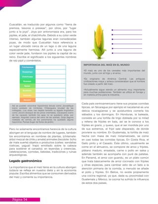 Página 54
Cada país centroamericano tiene sus propias comidas
típicas, en Nicaragua por ejemplo el nacatamal es una
delicia nicaragüense y se acostumbra comerla los
sábados y los domingos. En Honduras, la baleada,
consiste en una tortilla de trigo doblada por la mitad
y rellena de frijoles en bala, así se le conoce a los
frijoles en grano, y queso, que al ser mordida por uno
de sus extremos, el frijol sale disparado, de donde
proviene su nombre. En Guatemala, la tortilla de maíz
hecha con masa de maíz nixtamalizado, se come
en casi todas las comidas típicas. En Costa Rica, el
Gallo pinto y el Casado. Éste último, usualmente se
come en el almuerzo, se compone de arroz y frijoles,
plátano maduro, ensalada, carne o pollo en salsa y
además también se acompaña con puré de patatas.
En Panamá, el arroz con guandu, es un plato común
que trata básicamente de arroz cocinado con frijoles
y otras especias, para cambiar esto de un lado a la
atención primaria de la comida, a menudo se añade
el pollo y frijoles. En Belice, no existe propiamente
una cocina regional, ya que, dada su proximidad con
Guatemala y México, la cocina ha sufrido la influencia
de estos dos países.
Cuscatlán, es traducido por algunos como “tierra de
premios, tesoros o preseas”, por otros, por “lugar
junto a la joya”. Joya por antonomasia era, para los
pipiles, el jade, el chalchihuite. Debido a su color verde
intenso, también algunas lagunas eran consideradas
joyas, de modo que Cuscatlán hace referencia a
un lugar ubicado cerca de un lago o de una laguna
especialmente hermosa. Allí junto a una laguna de
color verde jade, fundaron los pipiles la capital de su
reino. Escribe el significado a los siguientes nombres
de raíz pipil y coméntelos.
Pero no solamente encontramos herencia de la cultura
aborigen en el lenguaje de nombre de lugares, también
los encontramos en nombres de plantas, (chilamate:
árbol mezcal de chile y amate) animales (tecolote: búho
de mala suerte) objetos o productos (caites: sandalias
rústicas; yagual: trapo enrollado sobre la cabeza
para sostener el canasto); en leyendas y creencias,
celebraciones, comidas, bebidas, tradiciones y ruinas
arqueológicas.
Legado gastronómico
La importancia que el maíz tenía en la cultura aborigen
todavía se refleja en nuestra dieta y en la economía
popular. Escriba alimentos que se consumen derivados
del maíz y comente su importancia.
Así se pueden encontrar toponimios lencas como Jocoaitique
(cerro poblado de mimbres), Chilanguera (ciudad de las
noltagias)...Los ulúas, han dejado también su legado lingüístico
como Jocoro (bosque de los pinos orientales), Cacaopera (cerro
de los cacaos); también los apay no se quedaron atrás, por
ejemplo: Anguiatú (cerca del cerro de las arañas), Güija (laguna
rodeada de cerros)...de los pokomanes ha quedado alguna
toponimia: Pampe (lugar de flores de jardín).
Cojutepeque
Soyapango
Chalchuapa
Guazapa
Apopa
Suchitoto
Usulután
Zacamil
IMPORTANCIA DEL MAÍZ EN EL MUNDO
•El maíz es uno de los cereales más importantes del
mundo, junto con al trigo y el arroz.
•Es originario de América Central. Las antiguas
civilizaciones maya y azteca consideraban que el hombre
fue creado a partir del maíz.
•Actualmente sigue siendo un alimento muy importante
para muchas poblaciones. También se utiliza en forraje y
en materia prima para la industria.
 